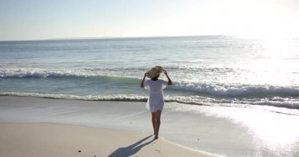 Une Jeune Femme Biraciale Aime Plage Les Bras Tendus Vers — Video