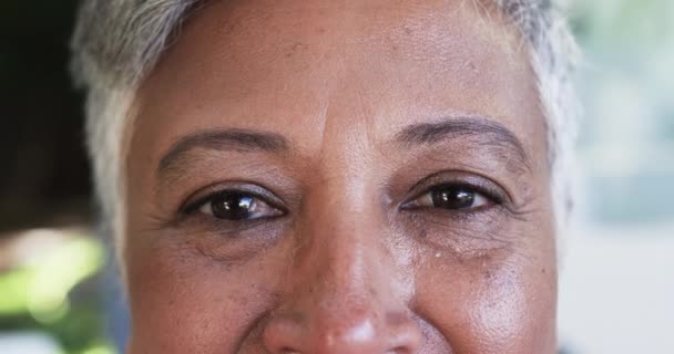 Primer Plano Cara Una Mujer Birracial Resaltando Sus Ojos Líneas — Vídeo de stock