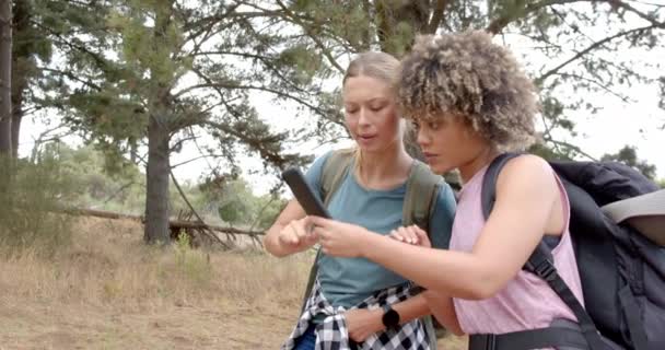 Dvě Ženy Jsou Pěší Túře Zalesněné Oblasti Jedna Drží Chytrý — Stock video