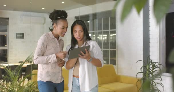 Jovem Afro Americana Mulher Biracial Discutem Tablet Ambiente Escritório Negócios — Vídeo de Stock