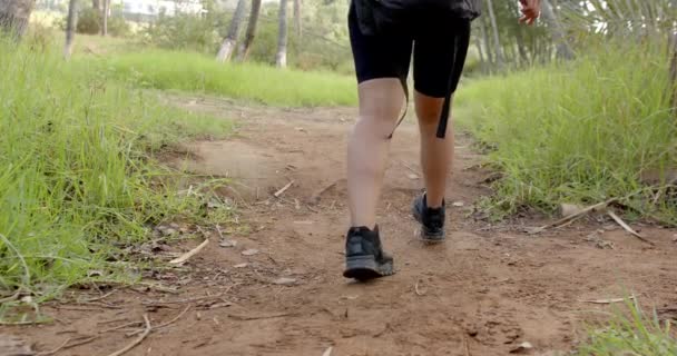 一个人在绿草环绕的土路上徒步旅行 并留有抄袭的空间 对腿脚和远足靴的关注暗示了一种积极的野外冒险 一种缓慢的运动 — 图库视频影像