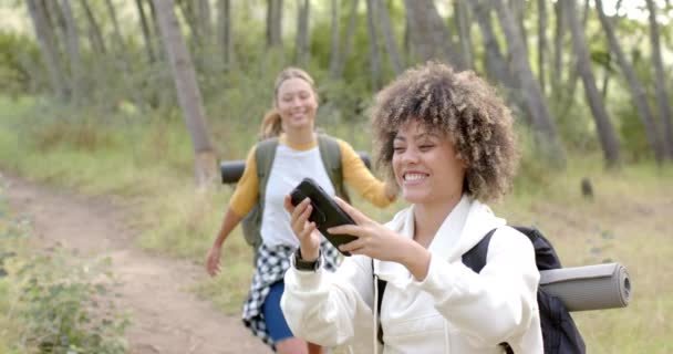 Kvinner Nyter Fottur Skogsområde Med Telefon Hånden Den Unge Kaukasiske – stockvideo