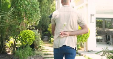 Arka bahçede eğlenen çeşitli çiftler, kamera ve piknik düzeniyle. Bahçede, boş zaman, yaşam tarzı, doğa, aşk, mutluluk