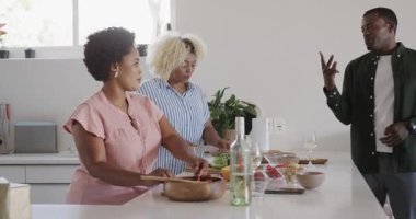 Çeşitli arkadaşlar evde, modern mutfak ortamında birlikte yemek hazırlar ve içeceklerin tadını çıkarırlar. Aşçılık, arkadaşlık, toplanma, kutlama, aşçılık, sosyalleşme