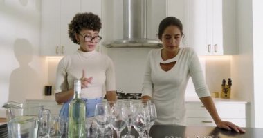 Çeşitli bayan arkadaşlar ev mutfağında şarap tatmayı planlıyorlar, cam siparişleri veriyorlar, sarılıyorlar. İşbirliği, dostluk, konukseverlik, sofistike, modernlik, sosyalleşme, zarafet
