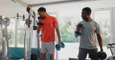 Afrika kökenli Amerikalı erkekler spor salonunda dambılları birlikte kaldırıyorlar, odaklanmış ve kararlılar. Fitness, egzersiz, güç, ev çalışması, kararlılık, takım çalışması