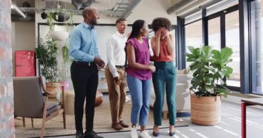 Çeşitli iş arkadaşları modern ofiste doğal ışık ve bitkilerle kutlama yapıyorlar. Kutlama, takım çalışması, işbirliği, ofis, fabrikalar, modern, parlak