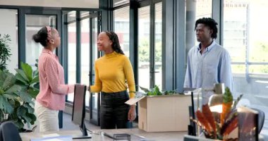 Afrika kökenli Amerikalı meslektaşlar saksı kutusunu açıp ofiste monitörlerle gülüyorlar. Takım çalışması, işbirliği, çalışma alanı, yer değiştirme, modern, parlak, iç mekan