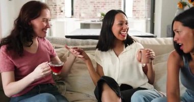 Çeşitli bayan arkadaşlar hikayelerini paylaşıyorlar kahkahalar atıyorlar, kupa tutuyorlar, oturma odasında parmak inceliyorlar. Arkadaşlık, sohbet, sosyalleşme, rahatlama, rahat, neşeli, sıradan