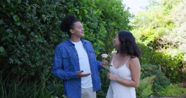 Gül sunan, çeşitli kokulu bir çift bahçedeki limon suyunun üstünde yastık döşeyip sohbet ediyorlar. Romantizm, eğlence, sükunet, doğa, samimiyet, uyum, rahatlama.