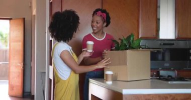 Çeşitli kadın çiftler modern mutfakta bitki dolu kutuları açıyor, gülümsüyor ve yeni evlerinin tadını çıkarıyorlar. Yer değiştirme, mutluluk, kutlama, taşınma, yaşam tarzı, taşınma