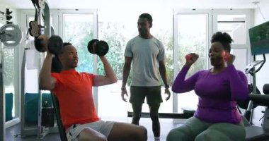 Evde dambıllarla egzersiz yapan genç bir çift, kişisel antrenör, ev jimnastiği. Fitness, egzersiz, egzersiz, güç, koçluk