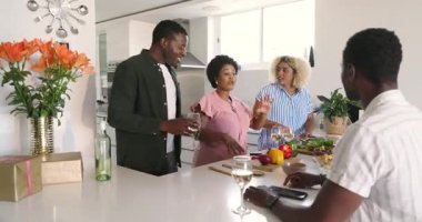 Çeşitli arkadaşlar modern mutfakta içkinin ve kahkahanın tadını çıkarıyorlar, beraberliği evde kutluyorlar. Parti, kutlama, sosyalleşme, eğlence