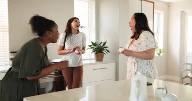 Üç mutlu çok ırklı ve siyah bayan arkadaş çay içip güneşli mutfakta hamileliklerini ilan ediyorlar. Kutlama, annelik, parti, yaz ve arkadaşlık kavramı.