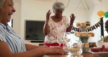 Bir grup mutlu üst düzey çok ırklı, beyaz ve siyah erkek ve kadın arkadaşlar oturma odasındaki emeklilik partisinde kadeh kaldırıyorlar. Kutlama, emeklilik, parti, son sınıf yaşam tarzı ve arkadaşlık kavramı.