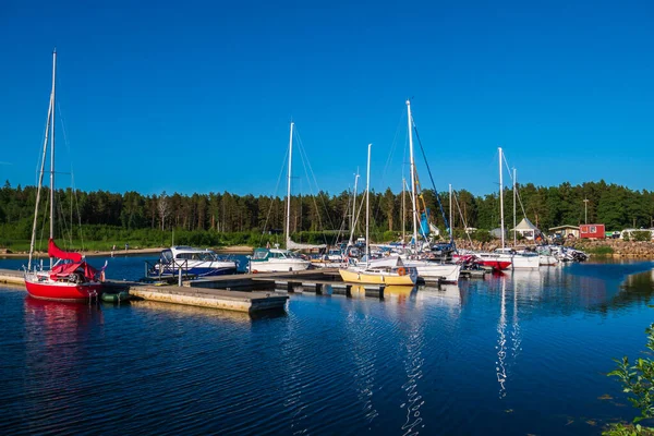 Yacht Klub Sok Különböző Jachttal Hajóval Hajóval Gyönyörű Természet Zöld — Stock Fotó