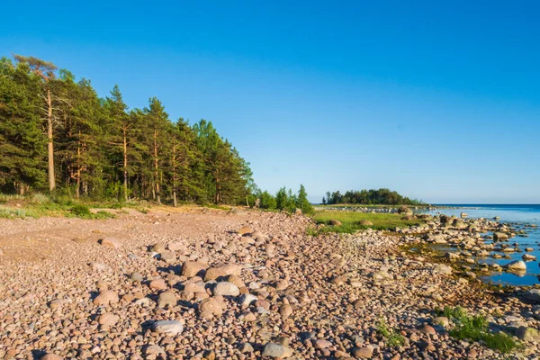 Gyönyörű Fényes Part Myriad Kövek Parton Egy Nagy Kék Egy — Stock Fotó