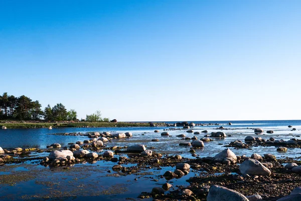一个石堤 到处都是大小不一的石头 美丽的海岸 有无数的石头 — 图库照片