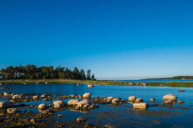 Ormandan göle güzel bir manzara. Ön planda kumlu bir yol ve uzun ağaçlar var. Arka planda bir sürü küçük taşı ve parlak mavi denizi olan taştan bir banka var..