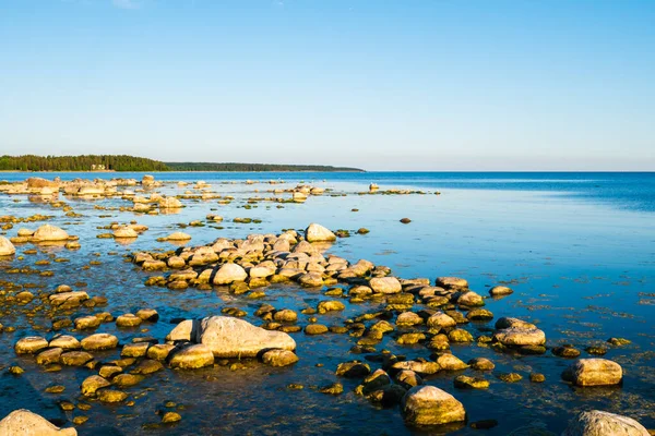 Gyönyörű óceán partján számtalan kövek. — Stock Fotó