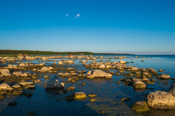 Belle côte océanique avec une myriade de pierres. — Photo