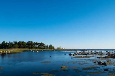 Otla karışık küçük taşlarla dolu güzel bir kıyı şeridi. Okyanus kıyısında güneşli bir sabah. Güzel doğa..