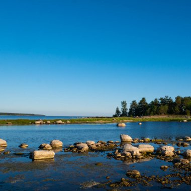 Otla karışık küçük taşlarla dolu güzel bir kıyı şeridi. Okyanus kıyısında güneşli bir sabah. Güzel doğa..