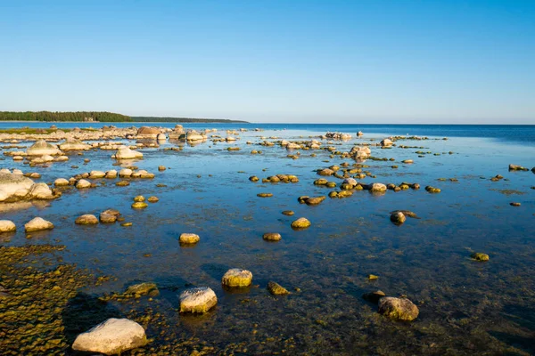 Stone Bank All Strewn Many Small Large Stones Beautiful Ocean — Stock Photo, Image