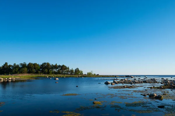 Lindo Litoral Cheio Pequenas Pedras Misturadas Com Grama Brilhante Manhã — Fotografia de Stock