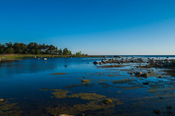 美丽的海岸线上布满了混合着青草的小石头 海滨阳光灿烂的早晨 美丽的自然 — 图库照片