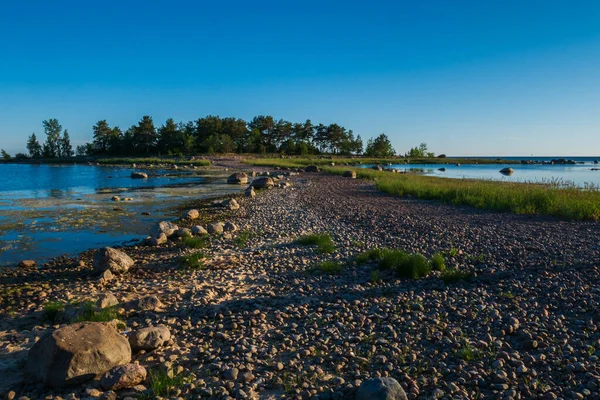 Beautiful Coastline Filled Small Stones Mixed Grass Bright Sunny Morning — Stock Photo, Image