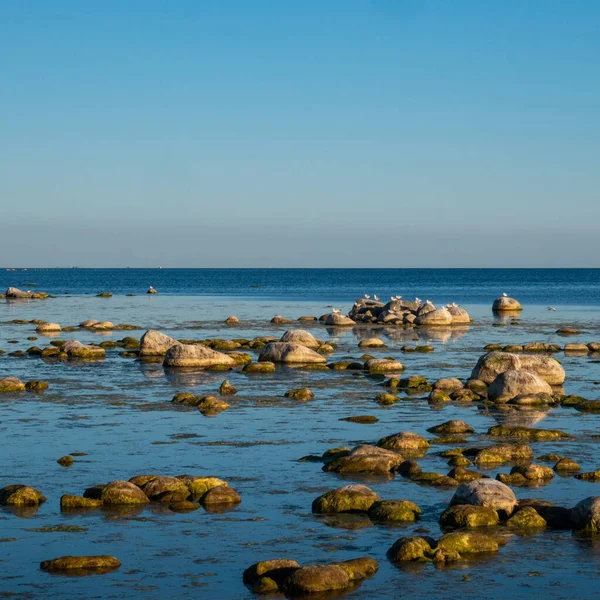 Gyönyörű Tengerpart Tele Kis Kövekkel Fűvel Keverve Fényes Napos Reggel — Stock Fotó