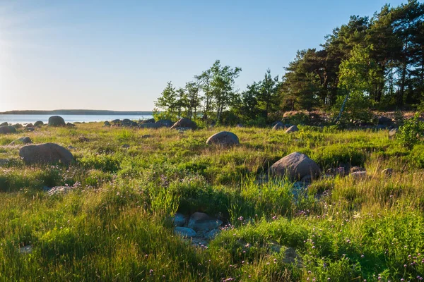 Stone Bank All Strewn Many Small Large Stones Beautiful Ocean — Stock Photo, Image