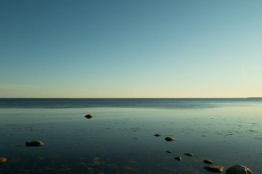 Bir sürü küçük ve büyük taşla çevrili bir taş bankası. Sayısız taşla güzel bir okyanus kıyısı.