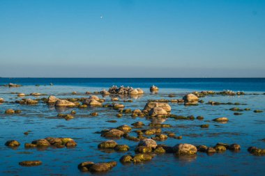 Bir sürü küçük ve büyük taşla çevrili bir taş bankası. Sayısız taşla güzel bir okyanus kıyısı.