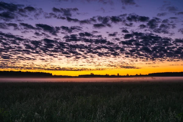 Una Hermosa Puesta Sol Campo Niebla Blanca Extiende Través Del —  Fotos de Stock