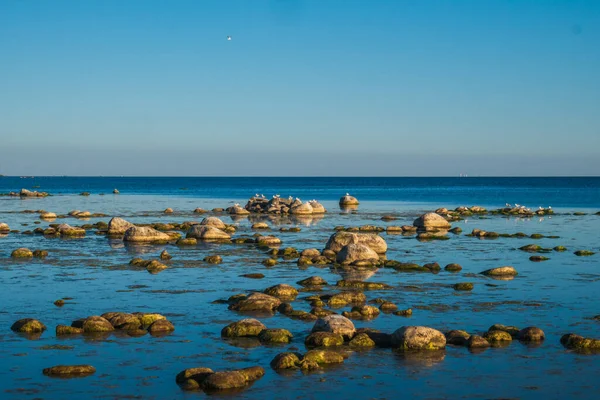 Banc Pierre Tout Parsemé Nombreuses Petites Grandes Pierres Belle Côte — Photo