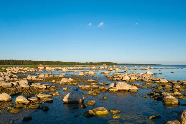 Egy Kőtömb Tele Apró Nagy Kövekkel Gyönyörű Óceán Partján Számtalan — Stock Fotó