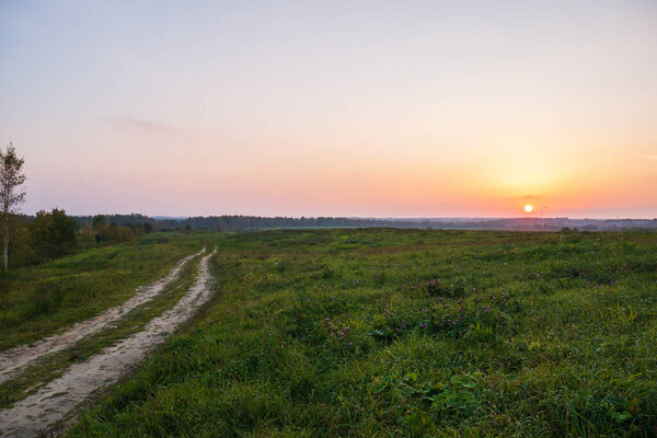 The road leading to the field, a beautiful red sunset. Green grass and small purple flowers. Calm and solitude in nature.