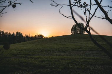 Orman, tepe ve ağaçların arka planına karşı doğada güzel bir günbatımı. Sonbahar günbatımı, engin mavi gökyüzü.