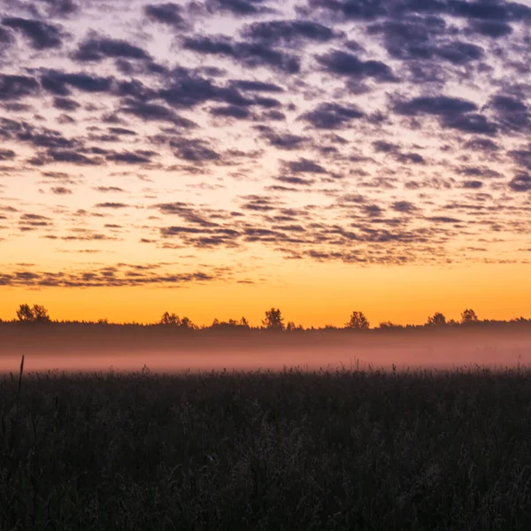Piękny Zachód Słońca Polu Biała Mgła Rozprzestrzenia Się Polu Pomarańczowy — Zdjęcie stockowe
