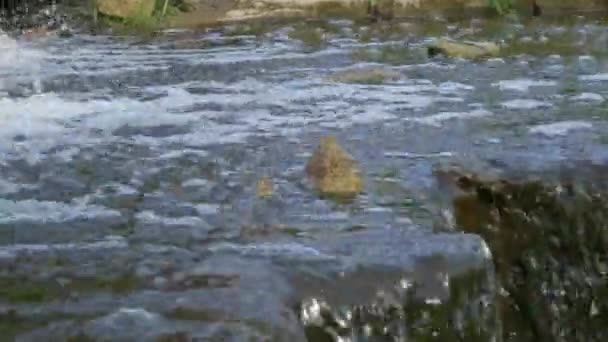 Waterval Water Dat Uit Rivier Stroomt Valt Naar Beneden Een — Stockvideo