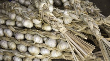 Çiğ sarımsak, tarım ve sebze tarlası