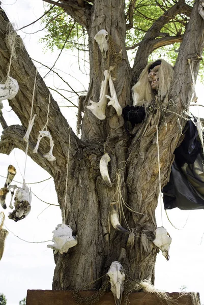 Baum Mit Tierschädeln Detail Von Hexerei Und Aberglauben — Stockfoto
