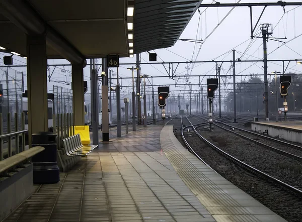 รถไฟในสถาน รถไฟ ยานพาหนะและการขนส — ภาพถ่ายสต็อก