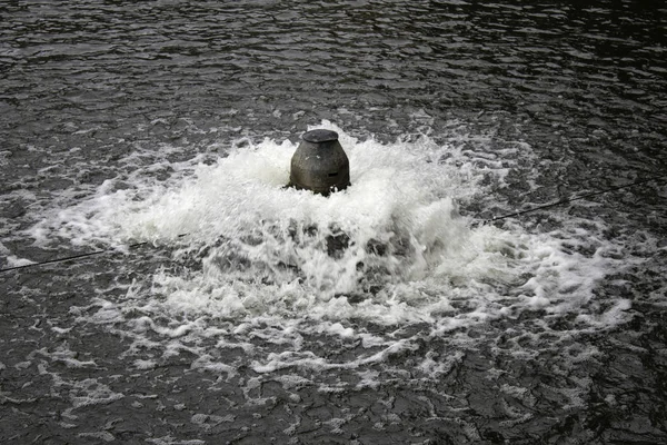 Water in fountain spouting, nature