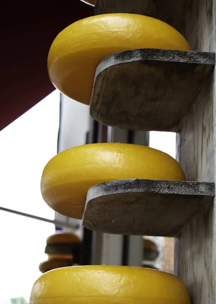 Типичный Голландский Сыр Традиционные Блюда Магазины — стоковое фото