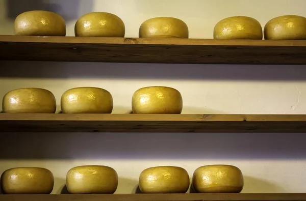 Queijo Holandês Típico Comida Tradicional Lojas — Fotografia de Stock