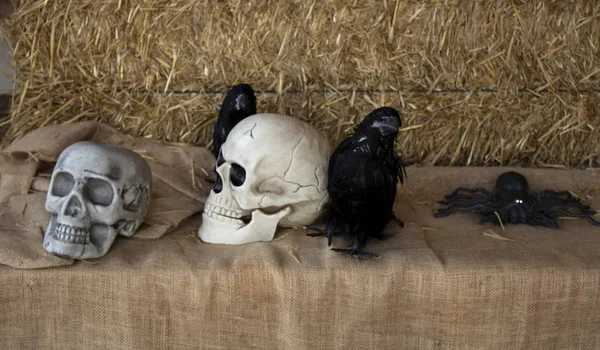 Menschlicher Schädelkopf Halloween Symbol Und Religion — Stockfoto