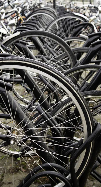 กรยานท จอดอย ในฮอลแลนด รายละเอ ยดการขนส งในเม การท องเท ยวในย โรป — ภาพถ่ายสต็อก